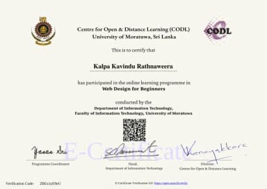 Web Design for Beginners Certificate