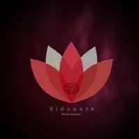 Vidnaath Logo