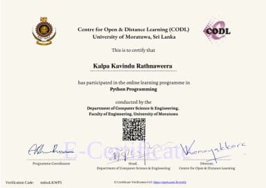 Python Programming Course Certificate